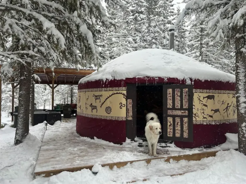 Shanti Yurt in Bragg Creek - Image 1