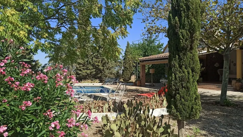 Landejendom (fuld leje) Finca el Palomar til 8 personer - Image 1