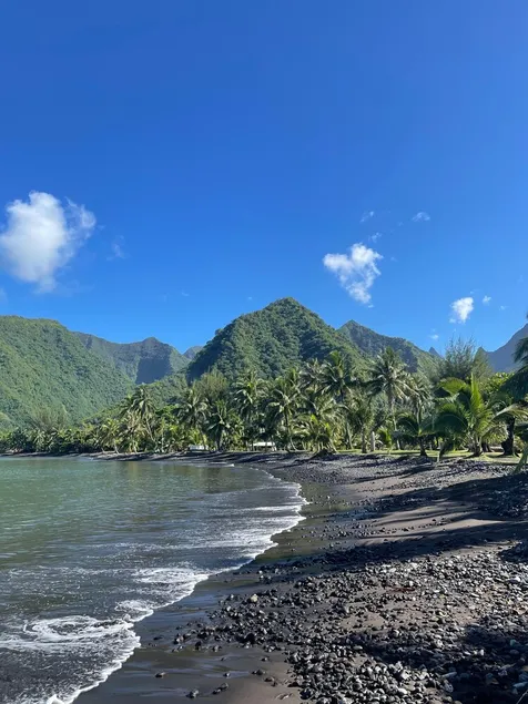 Pension Terehaunui Teahupoo - Image 1
