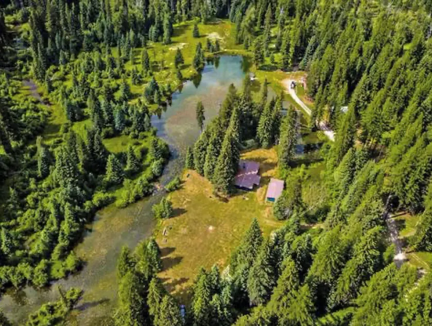 1920 Montana Ruhige Blockhütte! Bach, Feuerstelle, 10 Hektar Wildnis/ Swan Valley - Image 1