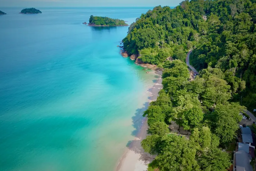 Beach Jungle - Image 1
