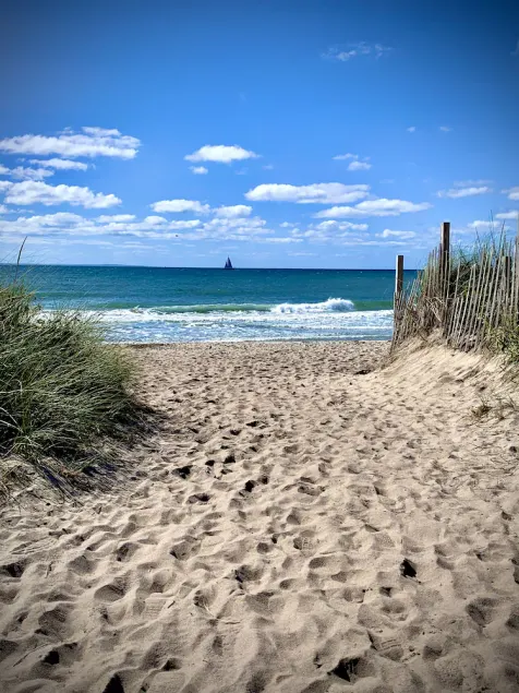Let the Sea Set You Free - Image 1