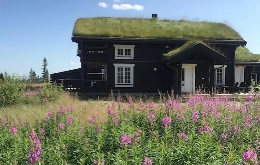 4 bedroom awesome home in Eggedal - Image 1