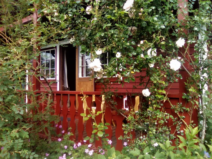 accogliente baita scandinava in una posizione tranquilla su un grande appezzamento - Image 1