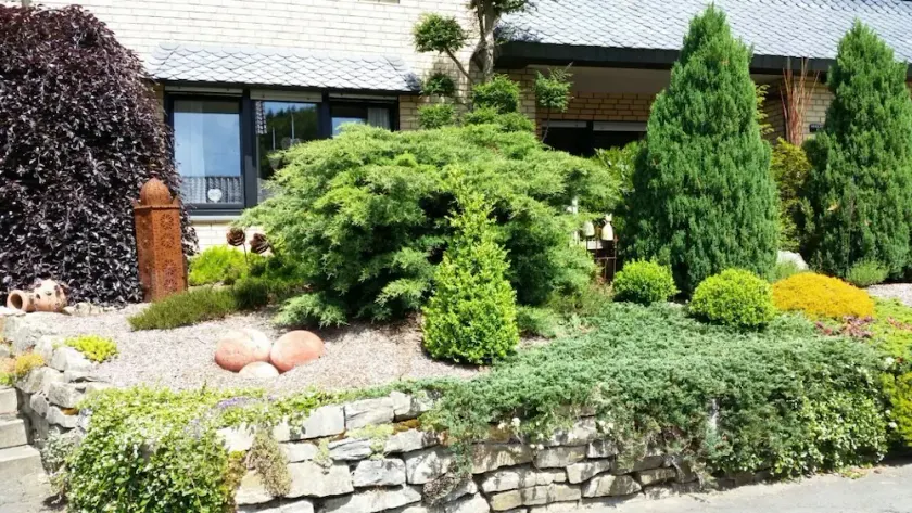 Take a vacation in the heavenly kingdom in the heart of the Hochsauerland district - Image 1