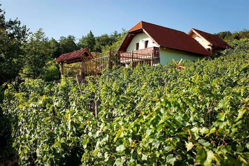 Holiday house is a charming house built in the vineyards on the picturesque hills of the Dolenjska region. In earlier ti - Image 1