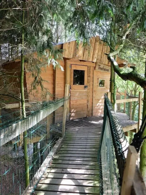 Cabane dans les Arbres - Tree House - Image 1