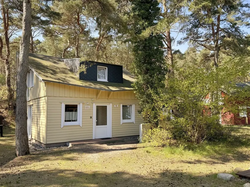 Strandhaus Dünenweg 62 con terrazza / sauna / camino - W: Strandhaus Dünenweg 62 con terrazza / sauna / camino - Image 1
