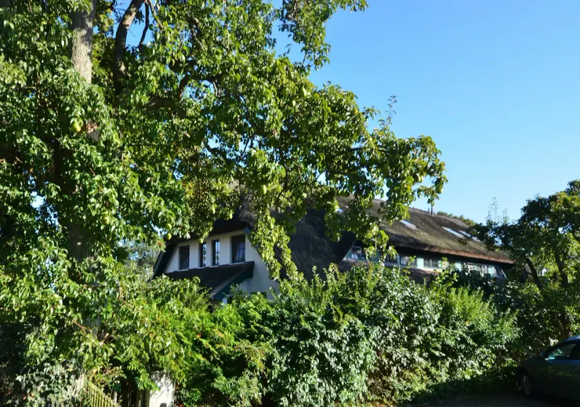 Peaceful cottage on the Baltic Sea for 8 people and baby - Image 1