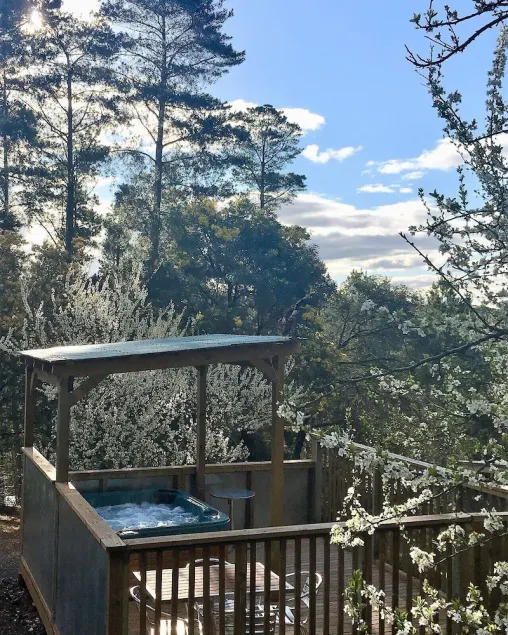 Salt Spring Art Retreat; - Image 1