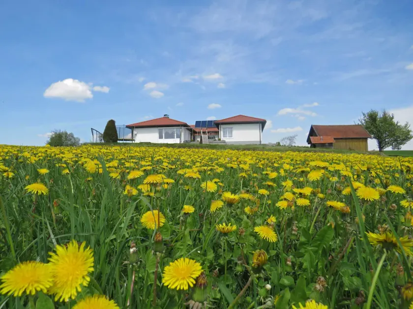 Comfort House Bungalow on land, 12 persons 5 bedrooms - Image 1