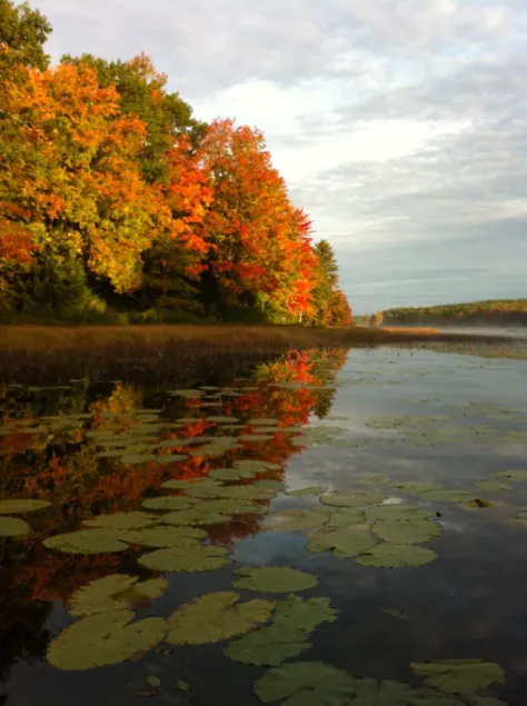 Intimate cottage near Acadia national park - Image 1