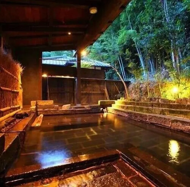 Hirayama Onsen Yama Futokoro no Yado Ichiboku Isso - Image 1