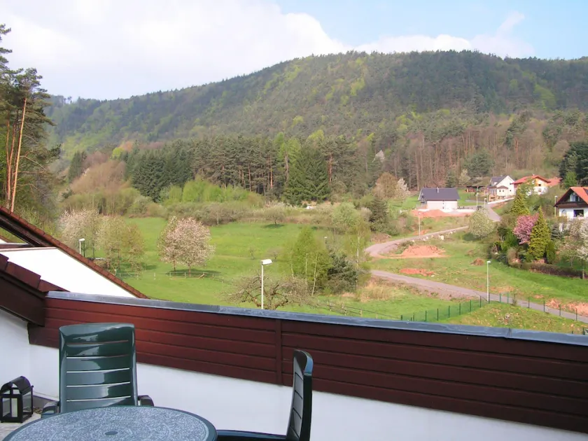 Holiday Waldblick Schwanheim with large terrace and stunning views - Image 1