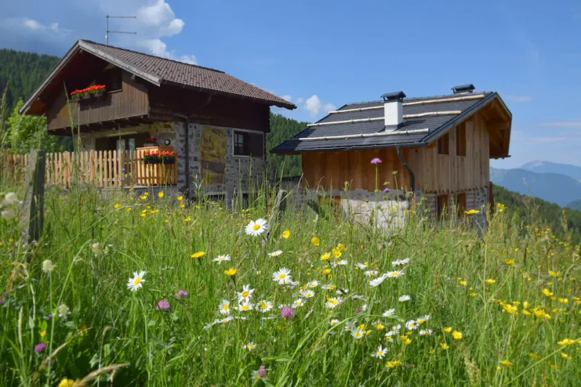 Baita Meidlnhof: umas férias especiais nas montanhas - Image 1