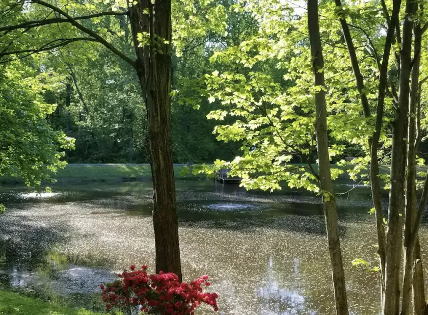 Lakeview - Tranquille private suite - Image 1