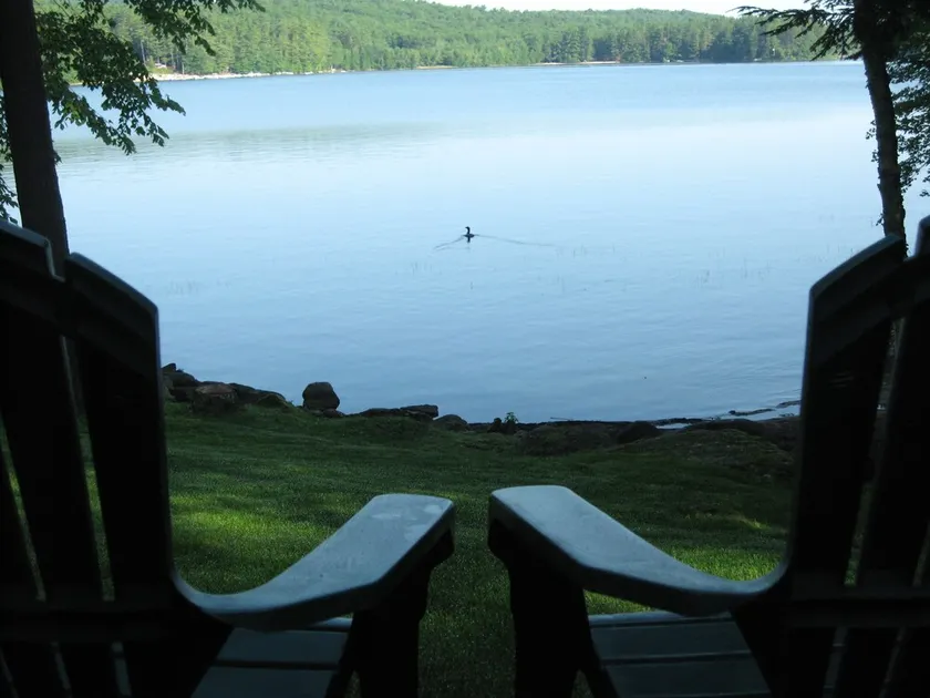 Lakeside Cottage with all the amenities - Image 1