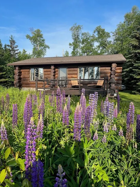 Palisade Log Cabin på Lake Superior North Shore - Image 1
