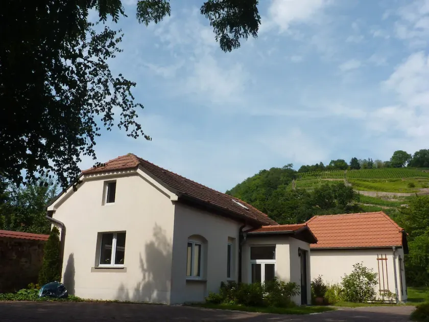 Holiday home in green with view of the vineyards - Image 1