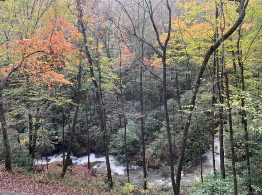 Sound of Rushing RAPIDS/ Private wooded location/Hiking Trail/Hot Tub - Image 1