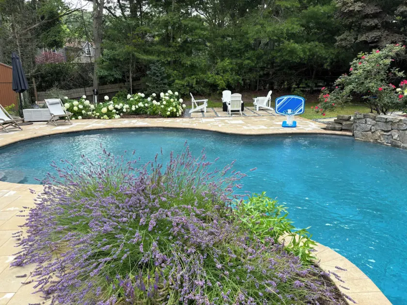 Just renovated, Amazing oasis, heated pool-spa, between Sag Harbor -Southampton - Image 1