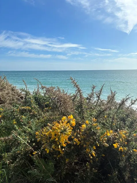 Audierne/Plouhinec: 1 km from the sea, in a peaceful, enclosed setting. - Image 1