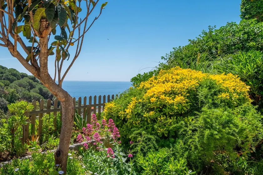 Villa Familiale Vistamar - Image 1