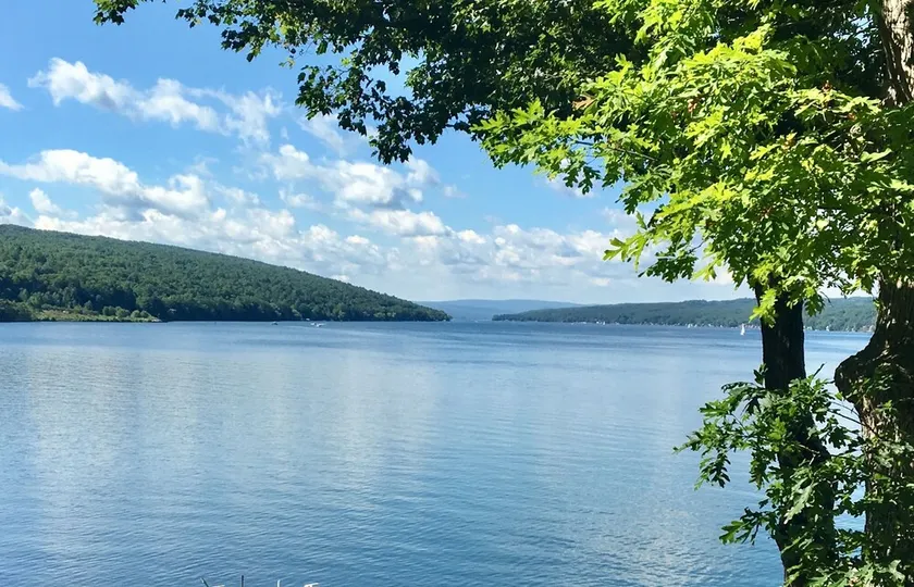 Sommerhus ved søen på privat vej ved Keuka Lake State Park. - Image 1