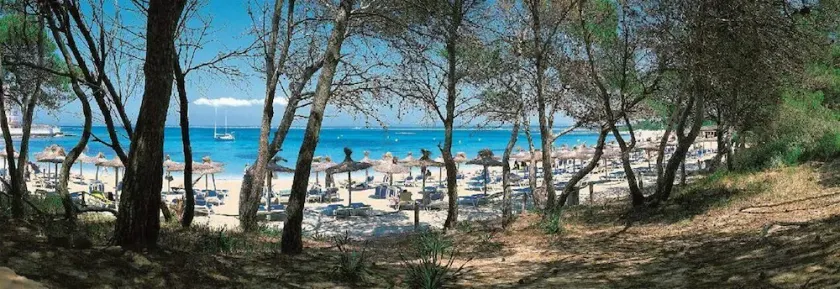 Apartamento Es Trenc 2 - Image 1