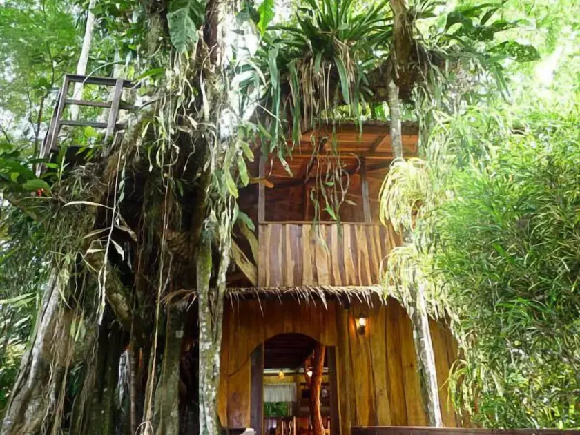 Enchanted Tree House experience with all the comforts! - Image 1