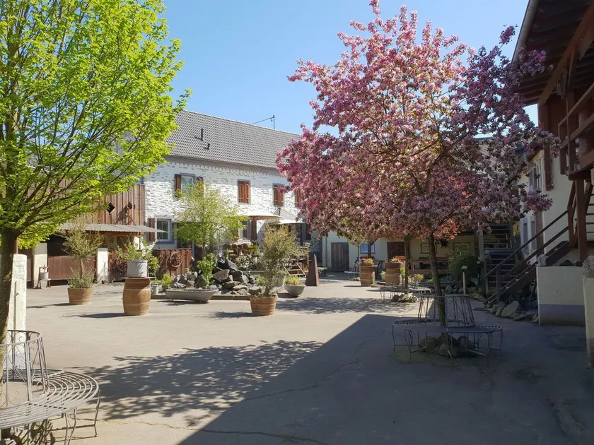 Dream vacation apartment on an idyllic farm near Eltz Castle - Image 1