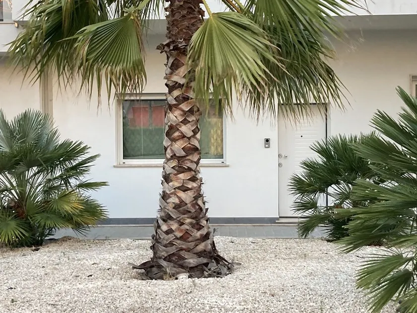 House with pleasant panorama - Image 1