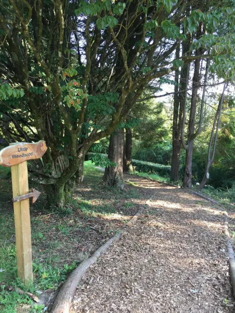 woodland cottage - Image 1