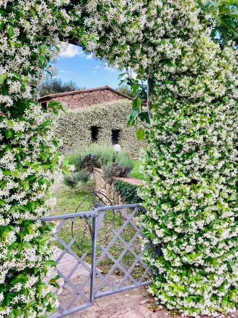 Agriturismo Piombaia - Image 1