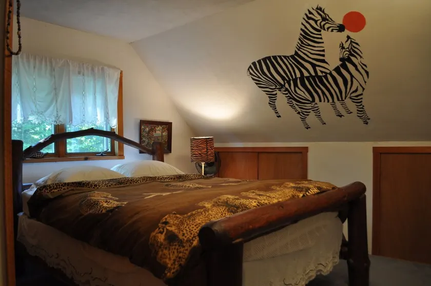 Russian and South African room in cabin surrounded by state forest - Image 1