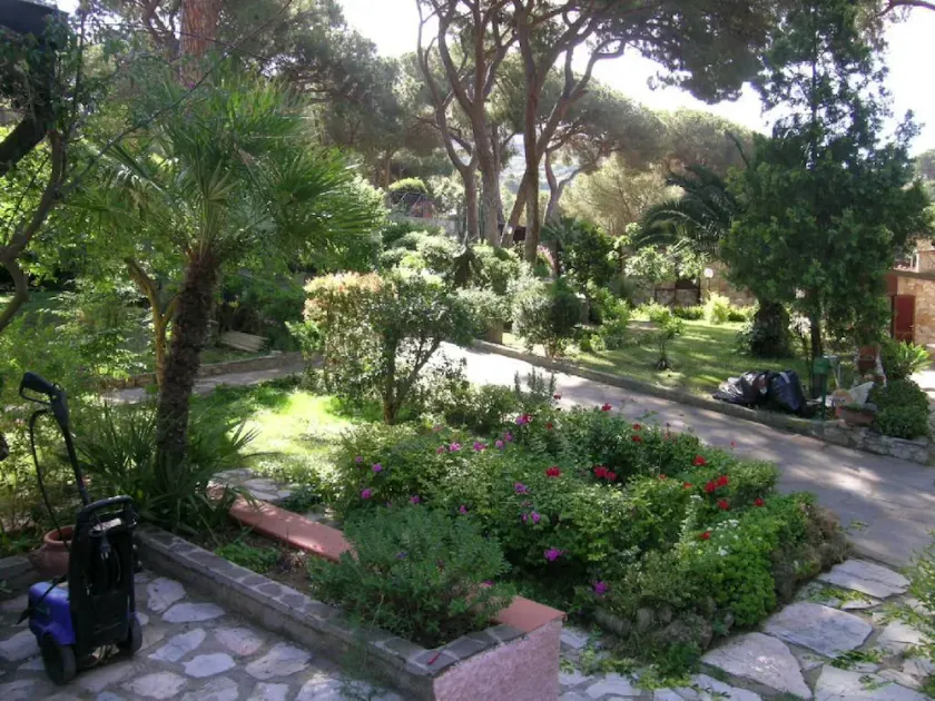 Silvia - Image 1