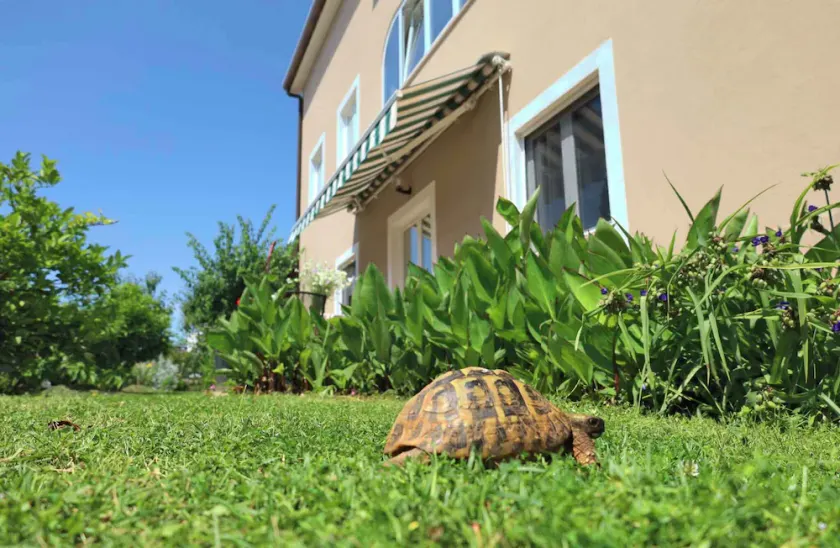 Holiday apartment with internet, air conditioning, terrace and garden in a quiet location - Image 1