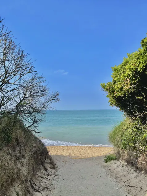 Appartement à 150 m de la plage avec grande terrasse et  jardin clôturé. - Image 1