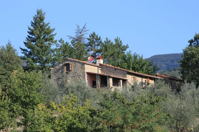 Schönes vollständig restauriertes toskanisches Bauernhaus mit - Image 1