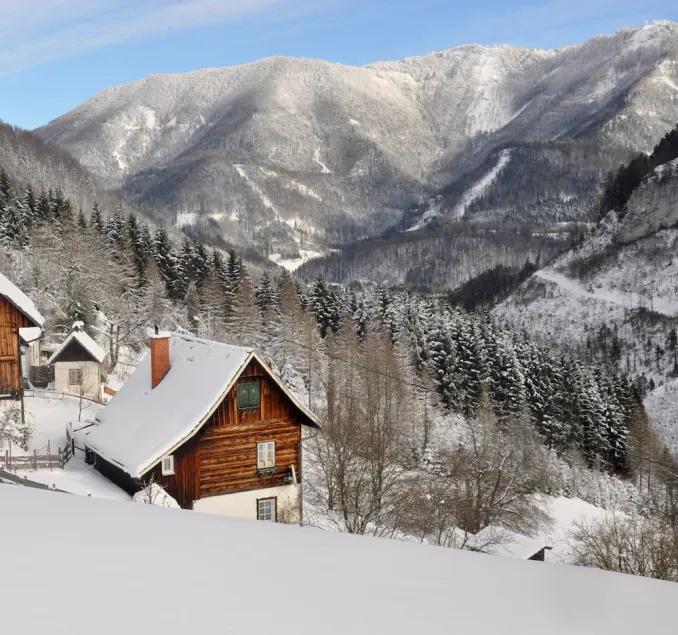 Cozy rustic vacation hut Upper Austria Ennstaler Kalkalpen up to 6 pers., fenced - Image 1