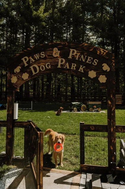 Greenville Getaway- Paws & Pines: pet- focused stay with HOT TUB & GAME ROOM - Image 1