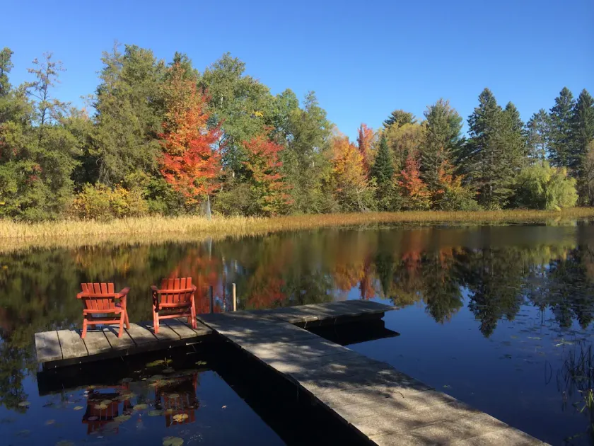 Une cabane sur le lac Hayward - Image 1