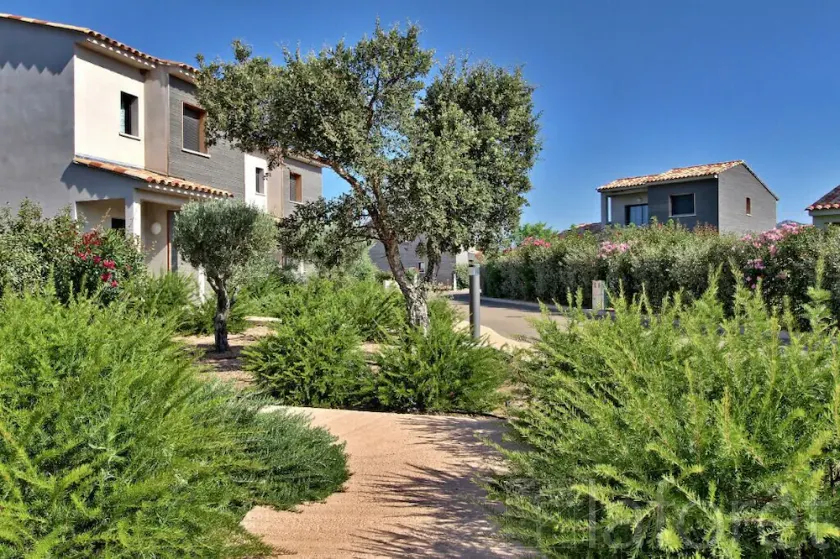 Villa \" Cairn \" à San Ciprianu Corse du Sud - Swimming pool & Beach - Image 1