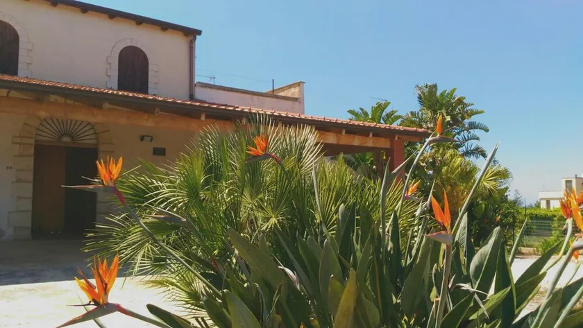 Il Gelsomino Home Holiday, Alcamo (TP), Sicilien. Slap af og masser af hav - Image 1