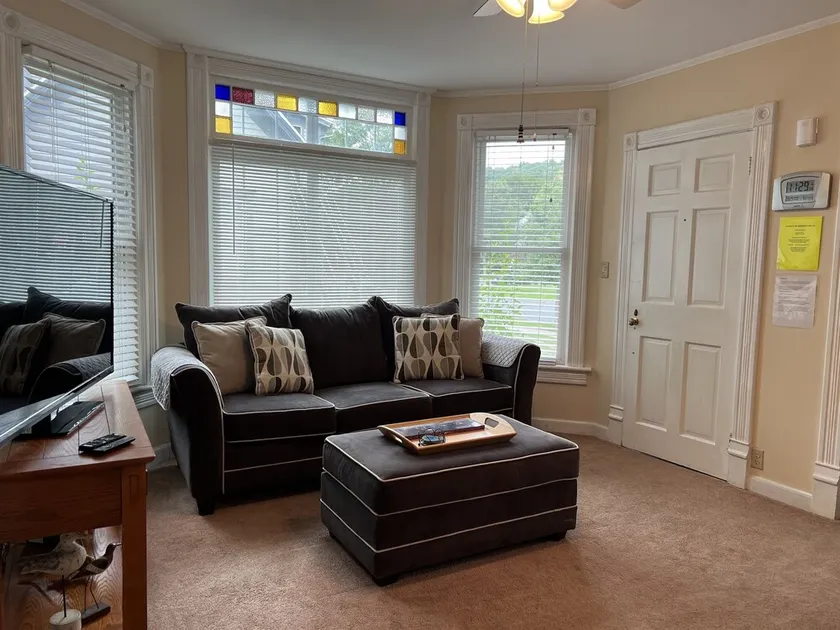 96 Spruce - Charming apartment in downtown Oneonta w/ hot tub - Image 1