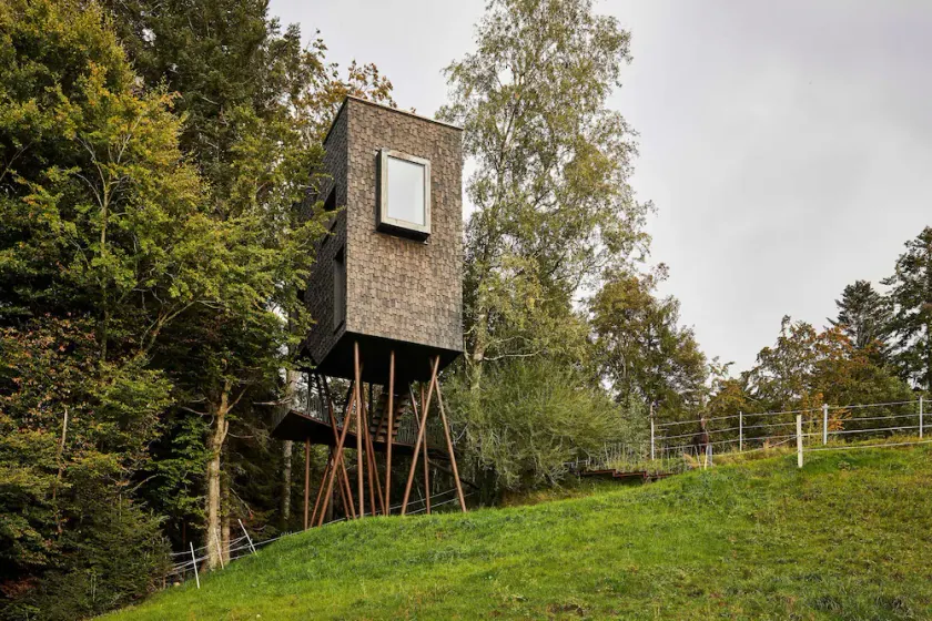 Adventure tree house, Baldauf family - Tree house - Image 1