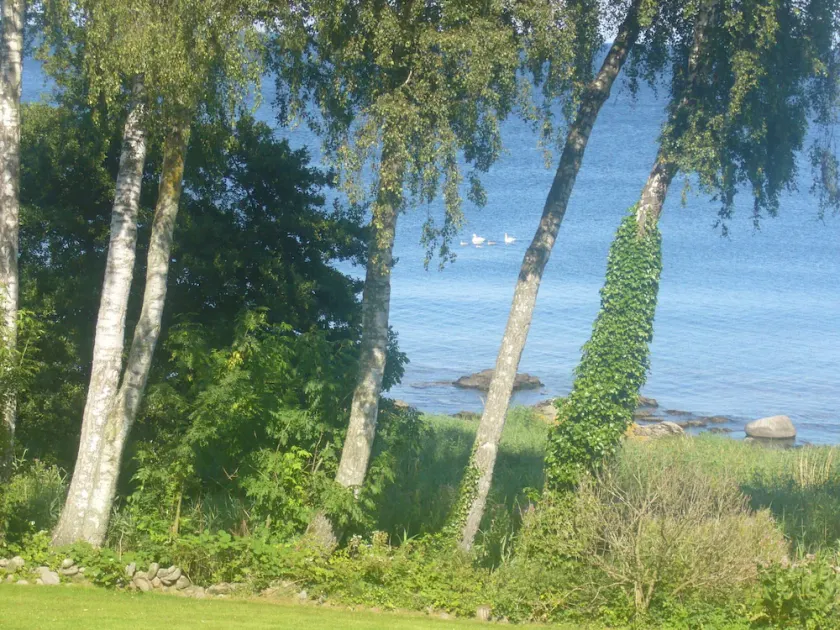 Holiday house with a wonderful view of the sea and a large garden, free WiFi - Image 1