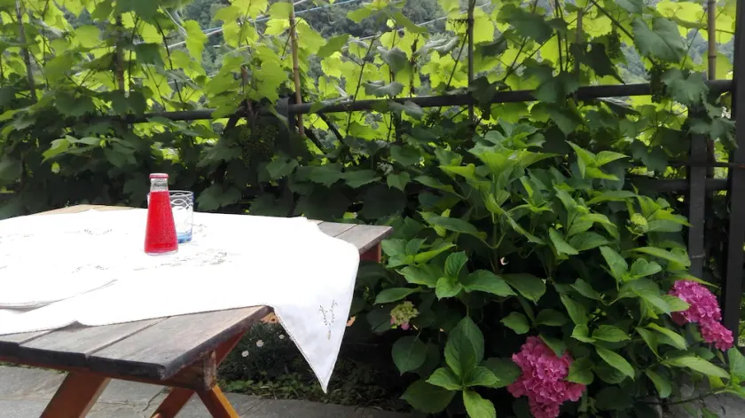 MAISON ALESSIA DANS LE VERT AVEC PARKING ET WIFI - Image 1