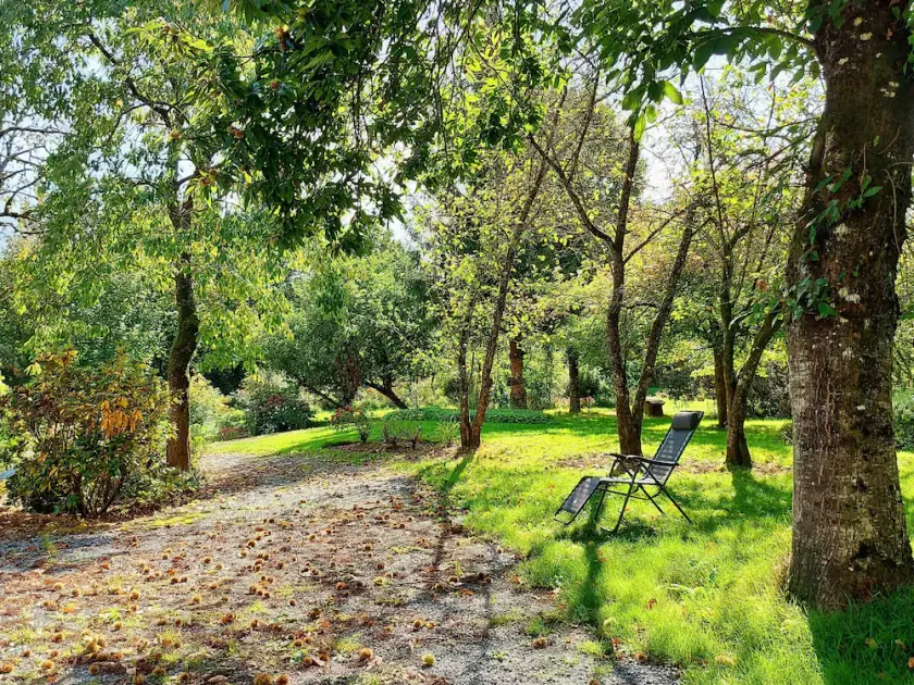 Family Getaway: Fishing, Nature, Pool - Accessible, 8 Guests - Image 1