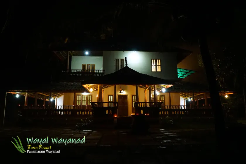 All 3 Family Villas Amidst green - Image 1